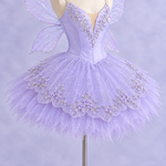 Lilac fairy costume with an appliqué-trimmed lilac plate, silver sparkle net and feathered tulle skirt edge